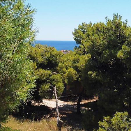 Fistiki Rooms Agia Marina  Dış mekan fotoğraf