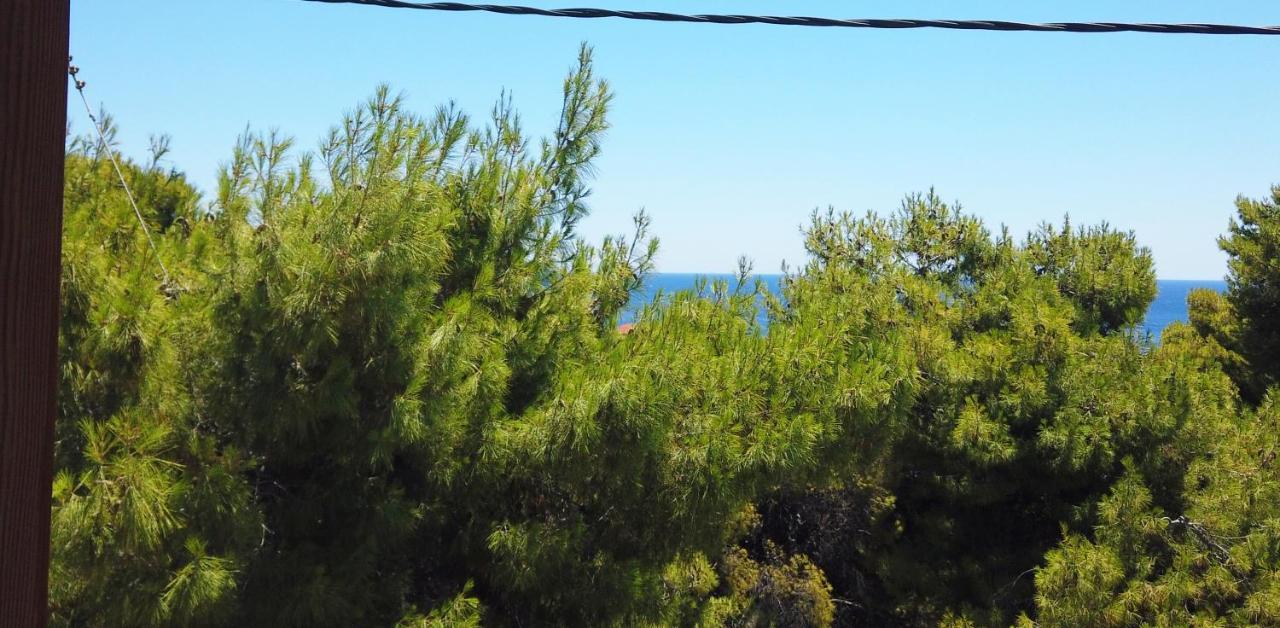 Fistiki Rooms Agia Marina  Dış mekan fotoğraf