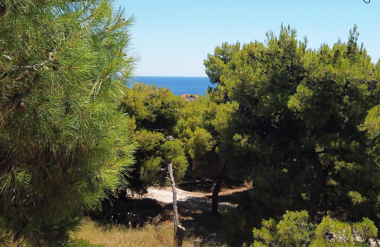 Fistiki Rooms Agia Marina  Dış mekan fotoğraf