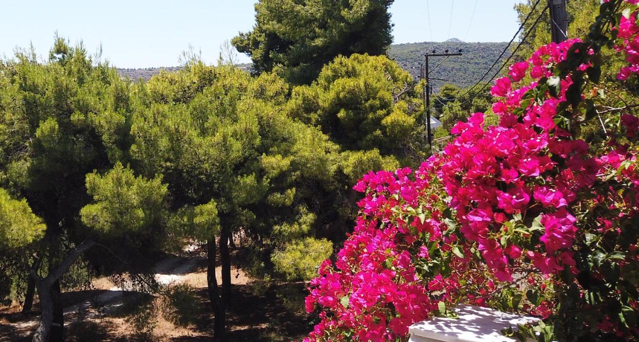 Fistiki Rooms Agia Marina  Dış mekan fotoğraf